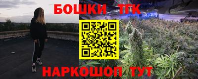 индика Ставрополь