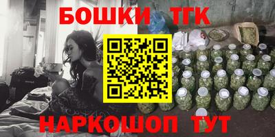 индика Ставрополь
