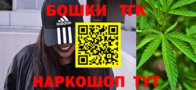 индика Ставрополь